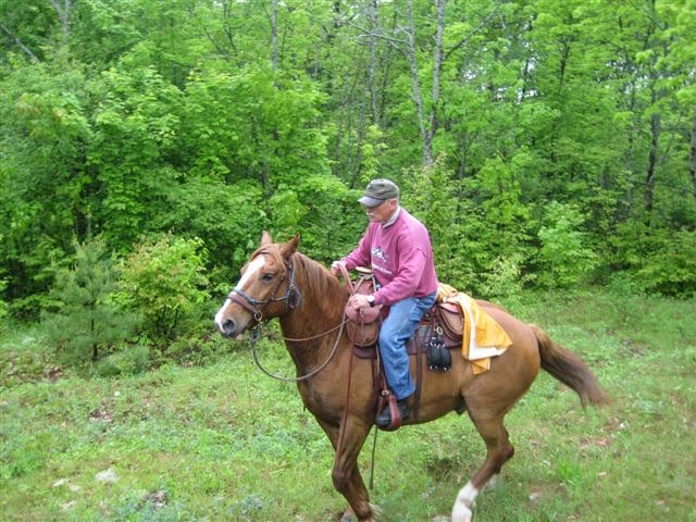 Man in pink sweater riding a brown horse